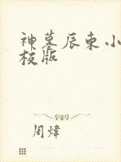 神墓辰东小说精校版