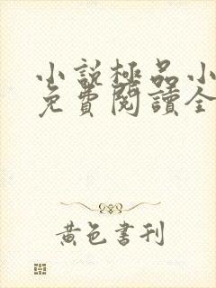 小说极品小保安免费阅读全文
