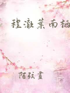 程澈叶南栖小说