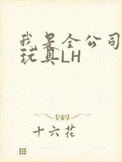 我是全公司发泄玩具LH