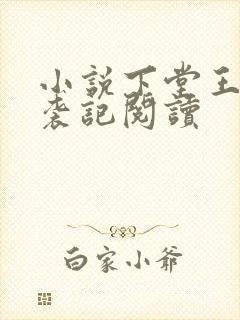 小说下堂王妃逆袭记阅读