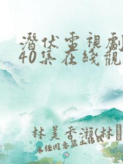 潜伏电视剧全集40集在线观看免费