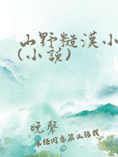 山野糙汉小娇娘(小说)