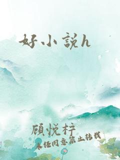 好小说h
