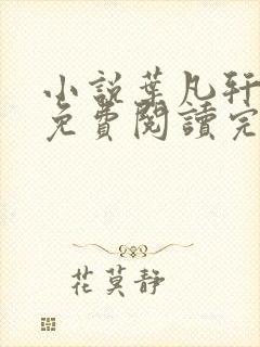 小说叶凡轩雨妃免费阅读完整