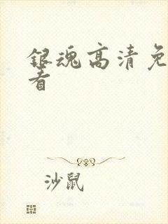 银魂高清免费观看