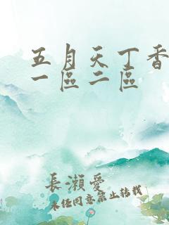 五月天丁香婷婷一区二区
