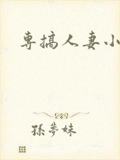 专搞人妻小说