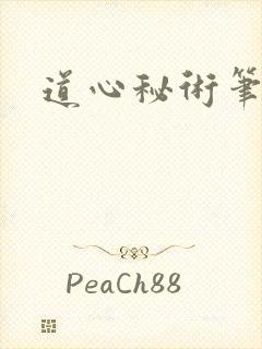 道心秘术笔趣阁