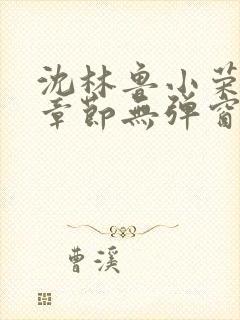 沈林鲁小荣最新章节无弹窗笔趣阁