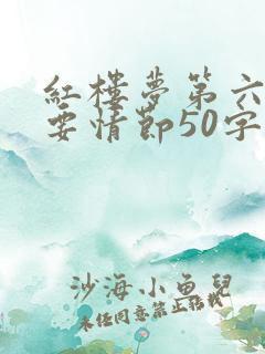 红楼梦第六回主要情节50字以内