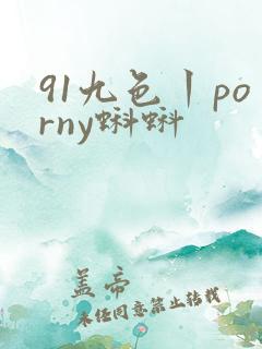 91九色丨porny蝌蚪