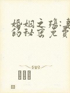 婚姻之殇:妻子的秘密免费阅读全文