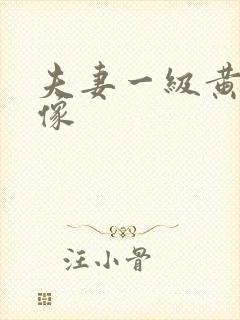 夫妻一级黄色录像