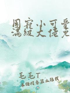 团宠小可爱成了满级大佬免费全文阅读