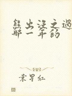 熊出没之过年是哪一年的