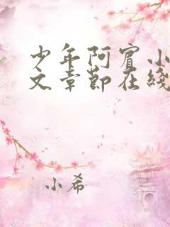 少年阿宾小说全文章节在线观看免费