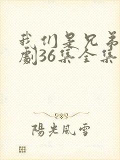 我们是兄弟电视剧36集全集播放