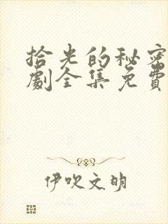 拾光的秘密电视剧全集免费