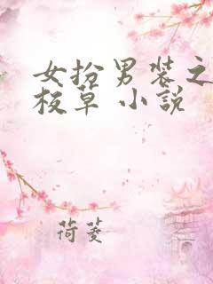 女扮男装之四大校草 小说