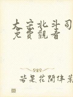 大宋北斗司全集免费观看