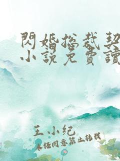 闪婚总裁契约妻小说免费读