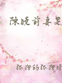 陈晓前妻是谁