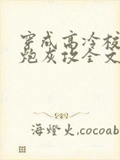 穿成高冷校草的炮灰攻全文免费