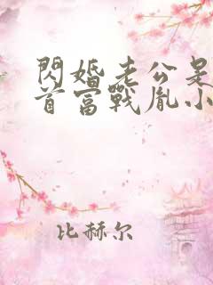 闪婚老公是千亿首富战胤小说