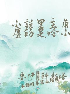 小说里主角叫叶尘的是啥小说