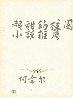 超甜的校园恋爱小说推荐