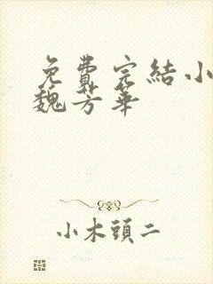 免费完结小说大魏芳华