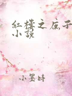 红楼之庶子为王小说