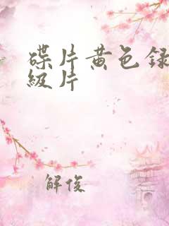 碟片黄色录像一级片