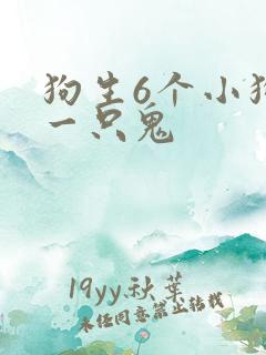 狗生6个小狗有一只鬼