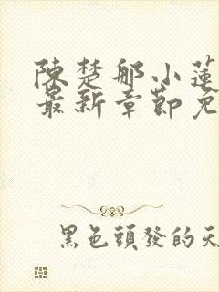 陈楚那小莲小说最新章节免费阅读