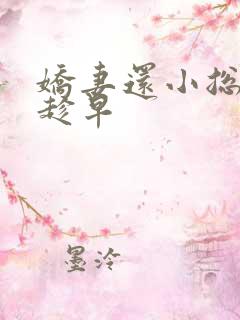 娇妻还小总裁要趁早