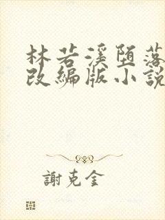 林若溪堕落总裁改编版小说续写