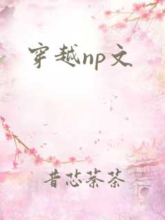 穿越np文