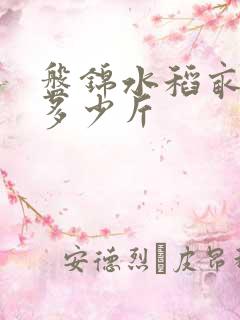 盘锦水稻亩产量多少斤