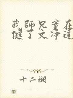 我师兄实在太稳健了文净道人结局