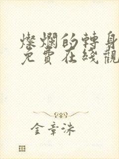 灿烂的转身全集免费在线观看