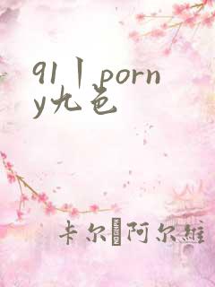 91丨porny九色