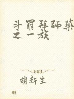 斗罗拜师药老破之一族