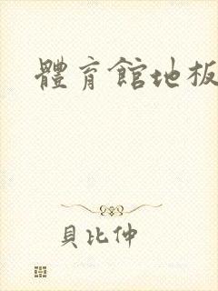 体育馆地板上c