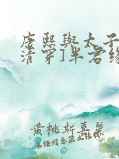 康熙与太子妃[清穿]半君缘全文免费阅读