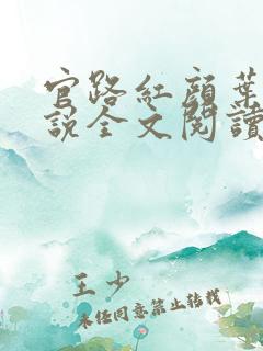官路红颜叶鸣小说全文阅读