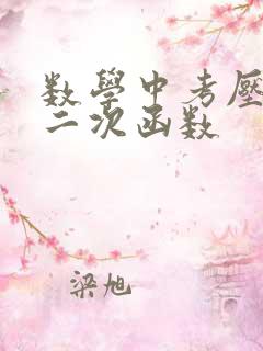 数学中考压轴题二次函数