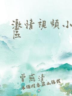 激情视频小说一区