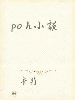 po h小说